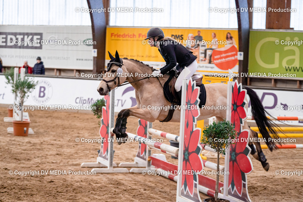 Kranichstein Tag 3-017 | dv-media-shop - Realisiert mit Pictrs.com