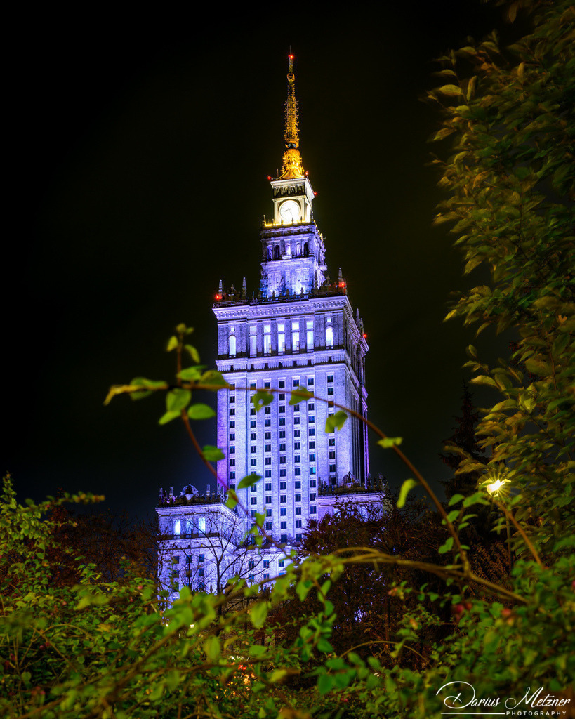 DSC_4411 | Fotografien, Fotos und Bilder aus Mainz, Frankfurt, Wiesbaden und anderen Orten auf der Welt - Fotografiert von Darius Metzner