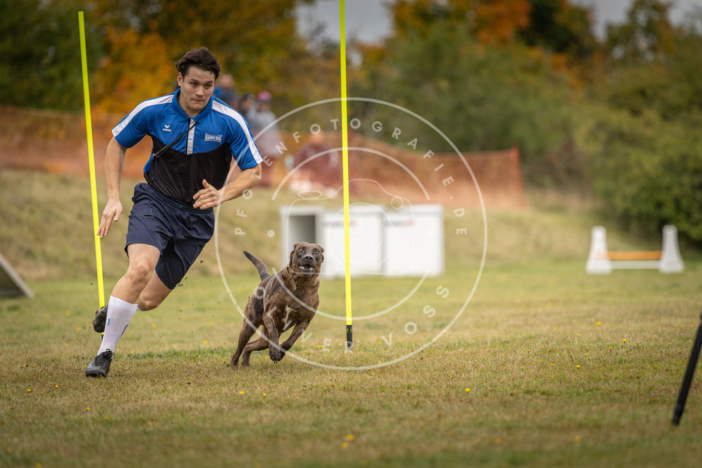 Pfotenfotografie_DV3A5613 | Hundefotografie, Tierfotograf, Pfotenfotografie, Fotoshooting Hund, Hunde Portrait, Hundesport, Hundeportraits, Heideshooting, Hunde, Sportfotograf, Hundefotograf, Turnierhundsport, THS,  - Realisiert mit Pictrs.com