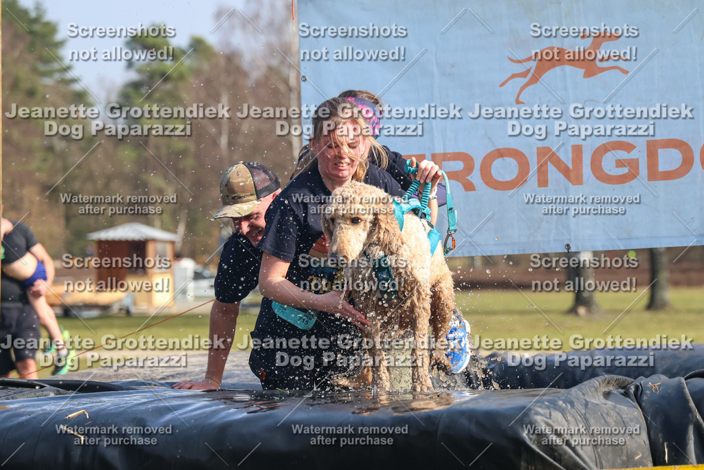 Dog Paparazzi - Strongdog North Mrz26-2113 | Dog Paparazzi Jeanette Grottendiek Fotografie & Videografie - Realisiert mit Pictrs.com