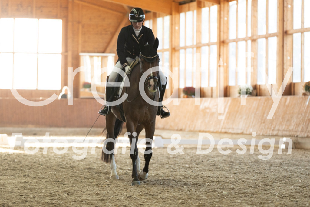 IMG_3854 | Creatify Fotografie