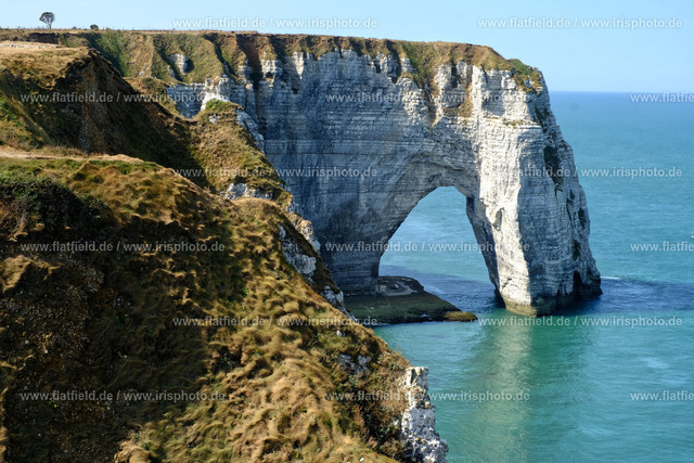 "Das Pferd" von Etretat | Die Küste von Etretat in der Normandie