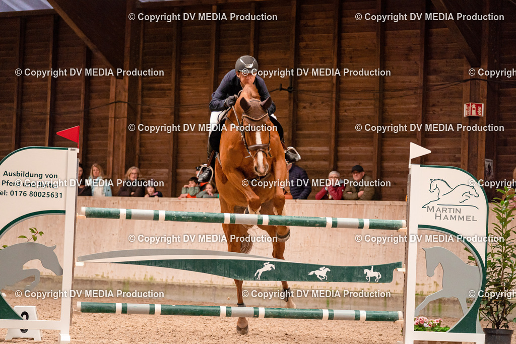 Springen Tag 3-376 | dv-media-shop - Realisiert mit Pictrs.com