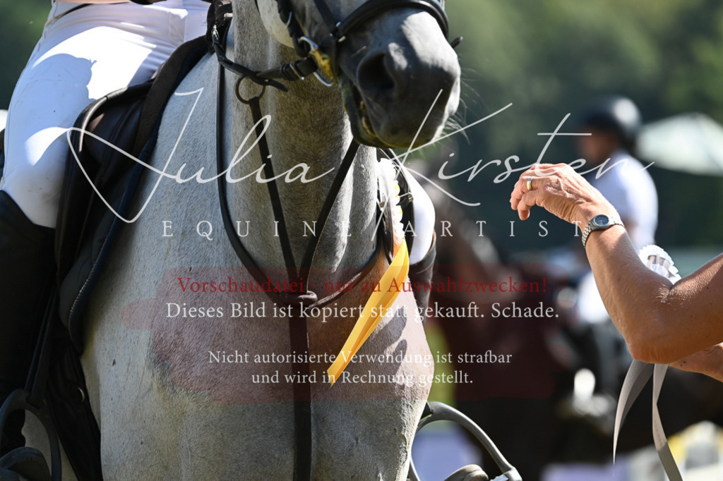 DSC_6484 | Pferde- und Turnierfotografie in Westsachsen. Pferdeportraits, Auftragszeichnungen und intuitive Kunst.