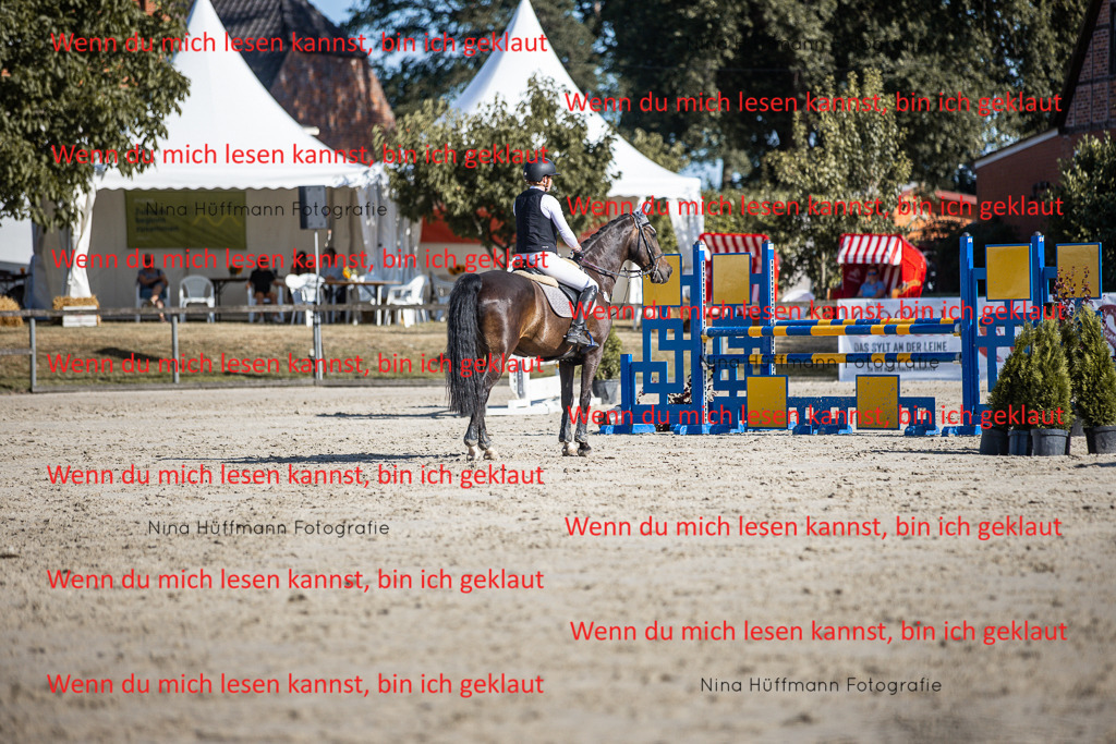 BK1A7360 | Turnierbilder Turnierfotos Nina Hüffmann Turnierfotografie Pferdefotografie Tierzeichnung Haustierzeichnung Pferdezeichnung Hundezeichnung Videograf  - Realisiert mit Pictrs.com