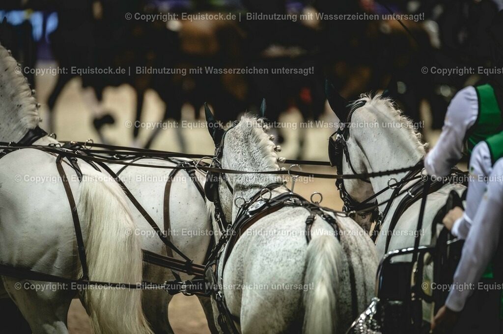 20240203_FEI-Driving-World-Cup_0004 | Foto: Thomas Hartig