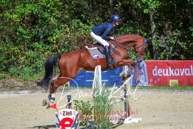 DKP43219 | Turniersportfotografie; Pferdefotografie; Dressurfotografie