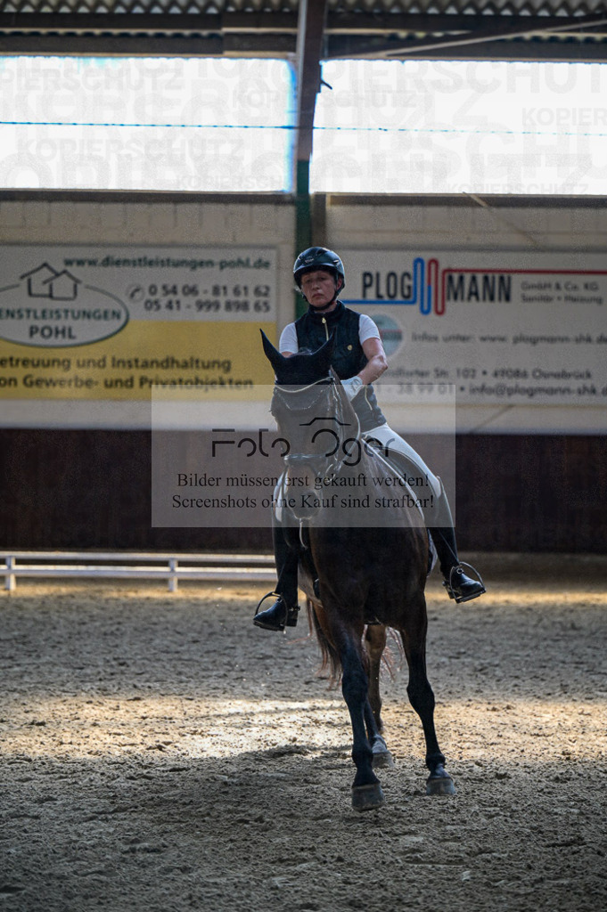 Reitturnier Voxtrup | Entdecke hochwertige Reitturnierfotos von Foto Oger. Professionell, emotional und authentisch – jetzt Lieblingsmomente im Shop bestellen.Deutschlandweite Turnierfotografie. - Realisiert mit Pictrs.com