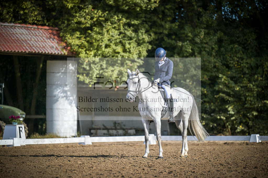 DOS_0793 | Entdecke hochwertige Reitturnierfotos von Foto Oger. Professionell, emotional und authentisch – jetzt Lieblingsmomente im Shop bestellen.Deutschlandweite Turnierfotografie. - Realisiert mit Pictrs.com