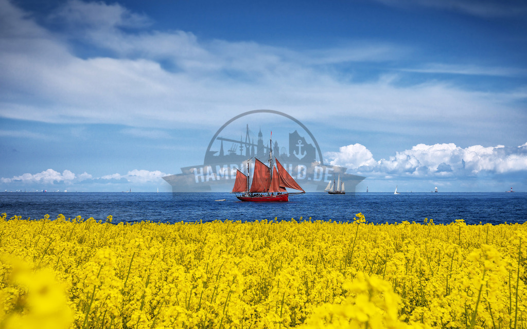 Raps Ostsee Roter Segler | Exklusive Hamburg collagen, tolle Segelbilder und viele weitere tolle Motive auf Leinwand, Poster, Alu-Dibond, u.v.m. findet Ihr bei uns auf hamburgbild.de. Findet Euer Wandbild für Euer Zuhause, Büro oder die  Praxis…. - Realisiert mit Pictrs.com