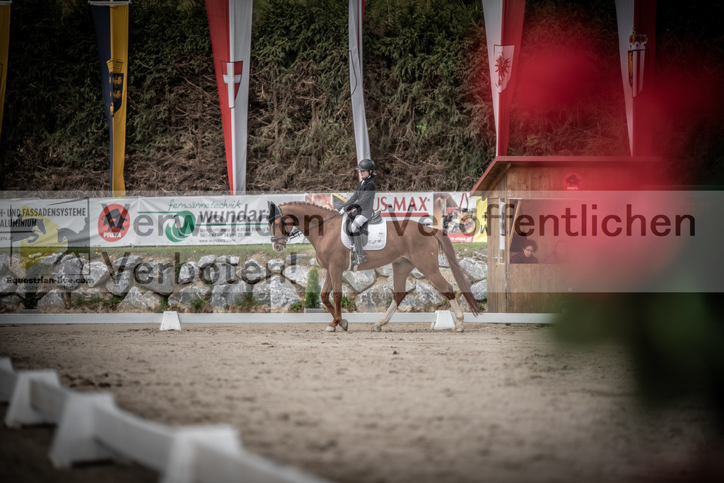 DSC_3206 | equestrian-live-com