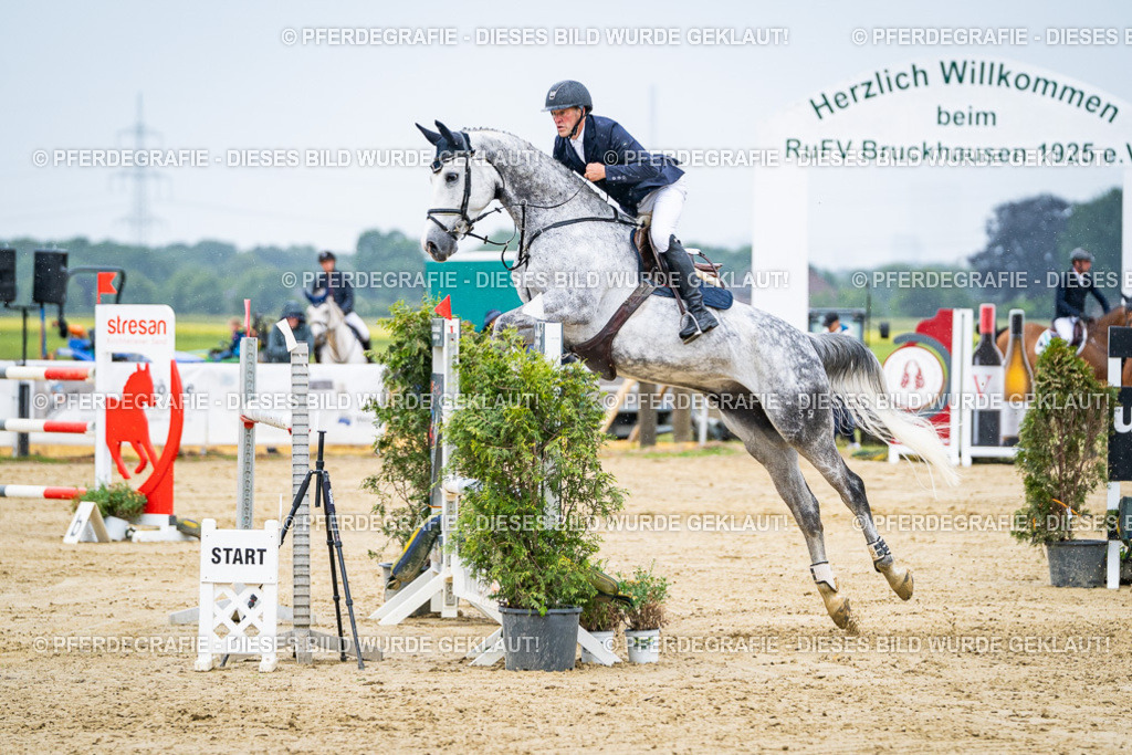 DSC08569 | Pferdegrafie