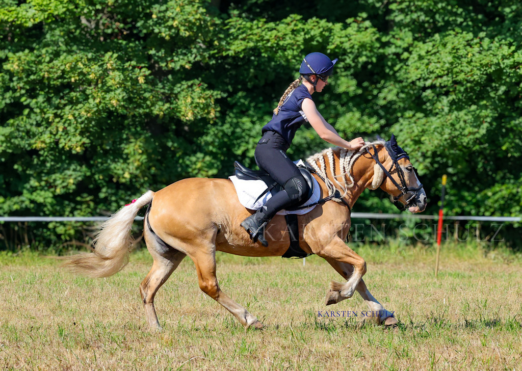 1B3A7859 | Reitsport Reiten