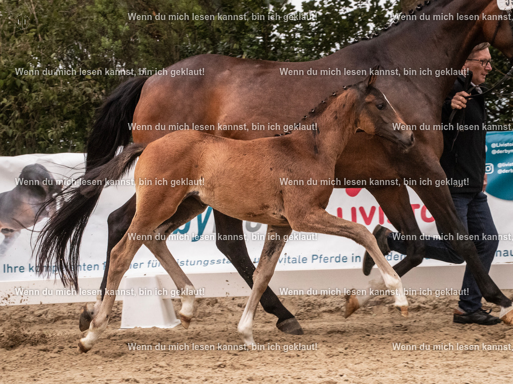 A10I6212 | photographylinaismer - Realisiert mit Pictrs.com