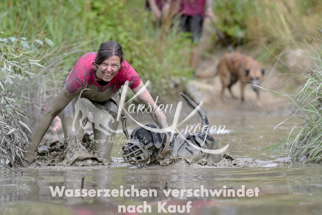 1612_ZZ94167 | kk-dogfotos