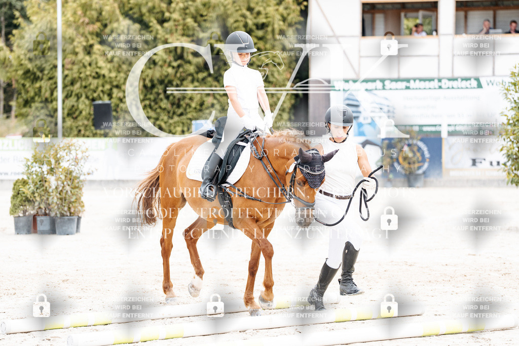CK907118 | Turnierfotografie Pferdefotografie Trier Rheinland-Pfalz Pferdesport Reitsport Tierfotografie Sportfotografie Pferdevideo Pferdevideografie Equestrianvideography equestrianphotography  - Realisiert mit Pictrs.com