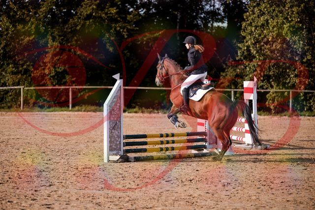 2026_10_03_Siefer-Hof_161012_Z81_89463012 | Professionelle Reitsport-, Turnier- und Eventfotografie von Robert Broda. Galerien mit ausgewählten und bearbeiteten Bildern direkt online ansehen und bestellen.
