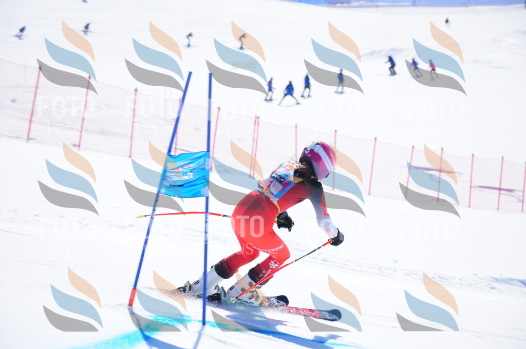 DSC_3607 | holidayphoto