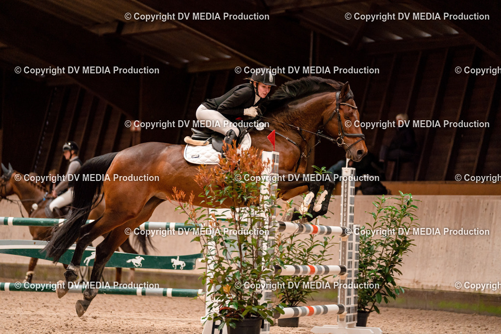 Springen Tag 1-562 | dv-media-shop - Realisiert mit Pictrs.com