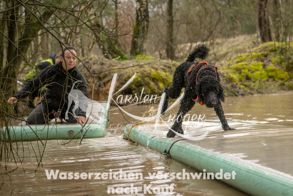 1347_ZZ90613-Bearbeitet | kk-dogfotos