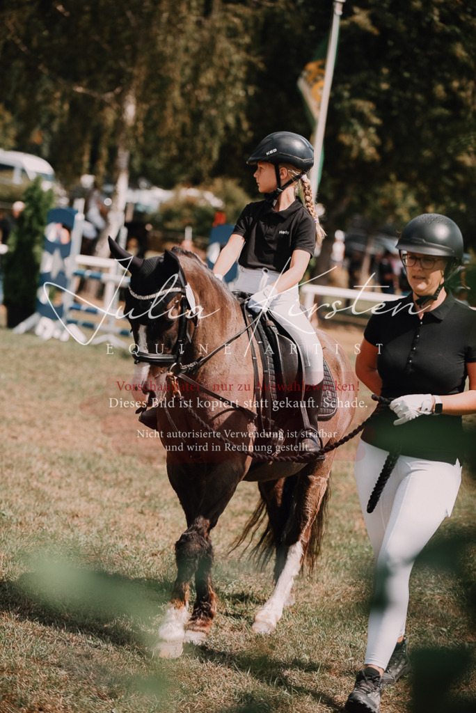 DSC_6149 | Pferde- und Turnierfotografie in Westsachsen. Pferdeportraits, Auftragszeichnungen und intuitive Kunst.