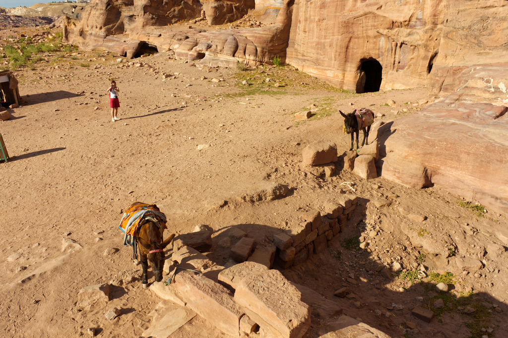 IMG_2073a | ansichtssache