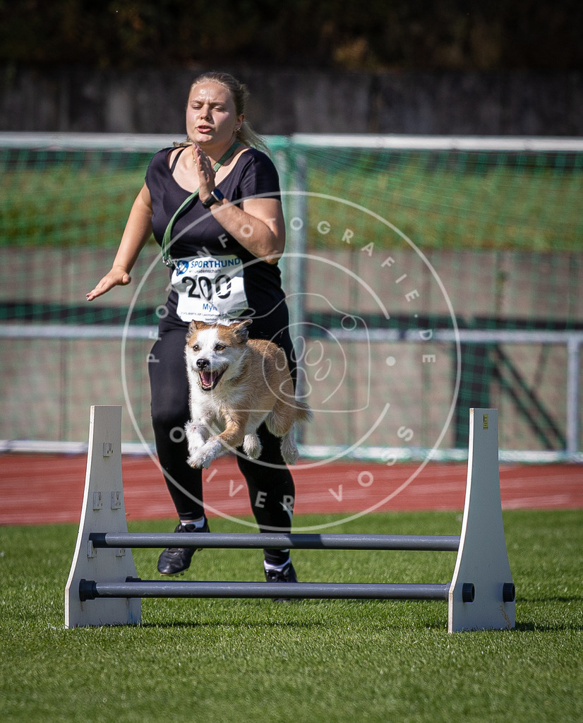 Pfotenfotografie_DV3A0929 | Hundefotografie, Tierfotograf, Pfotenfotografie, Fotoshooting Hund, Hunde Portrait, Hundesport, Hundeportraits, Heideshooting, Hunde, Sportfotograf, Hundefotograf, Turnierhundsport, THS,  - Realisiert mit Pictrs.com