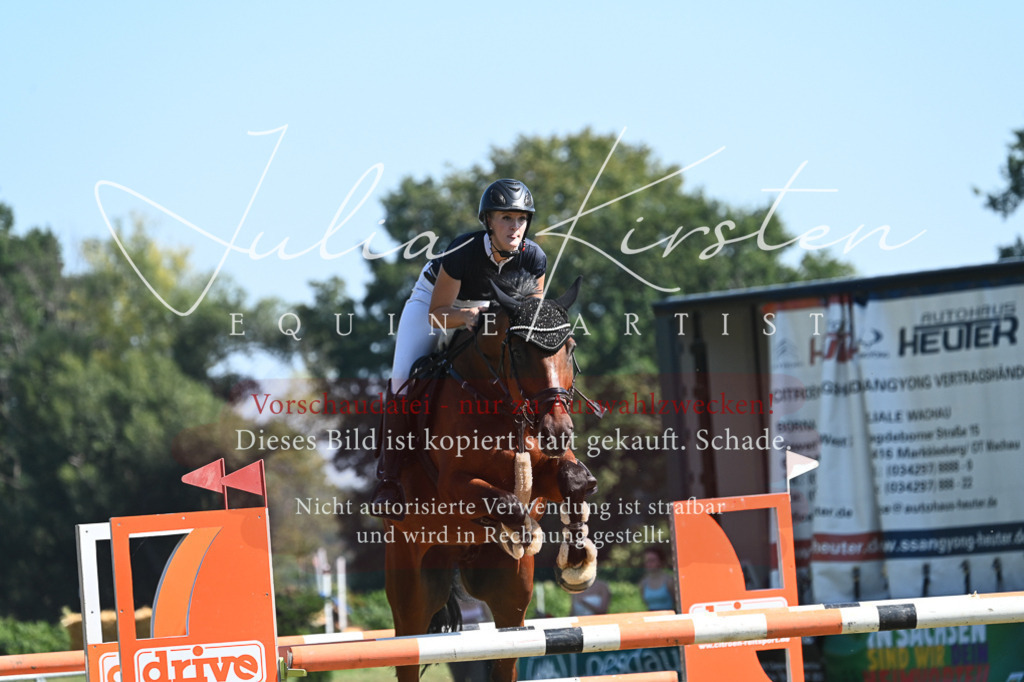 DSC_6431 | Pferde- und Turnierfotografie in Westsachsen. Pferdeportraits, Auftragszeichnungen und intuitive Kunst.