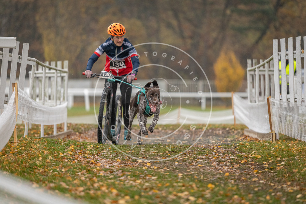 CaniXpix_DV3A7384 | Hundefotografie, Tierfotograf, Pfotenfotografie, Fotoshooting Hund, Hunde Portrait, Hundesport, Hundeportraits, Heideshooting, Hunde, Sportfotograf, Hundefotograf, Turnierhundsport, THS,  - Realisiert mit Pictrs.com