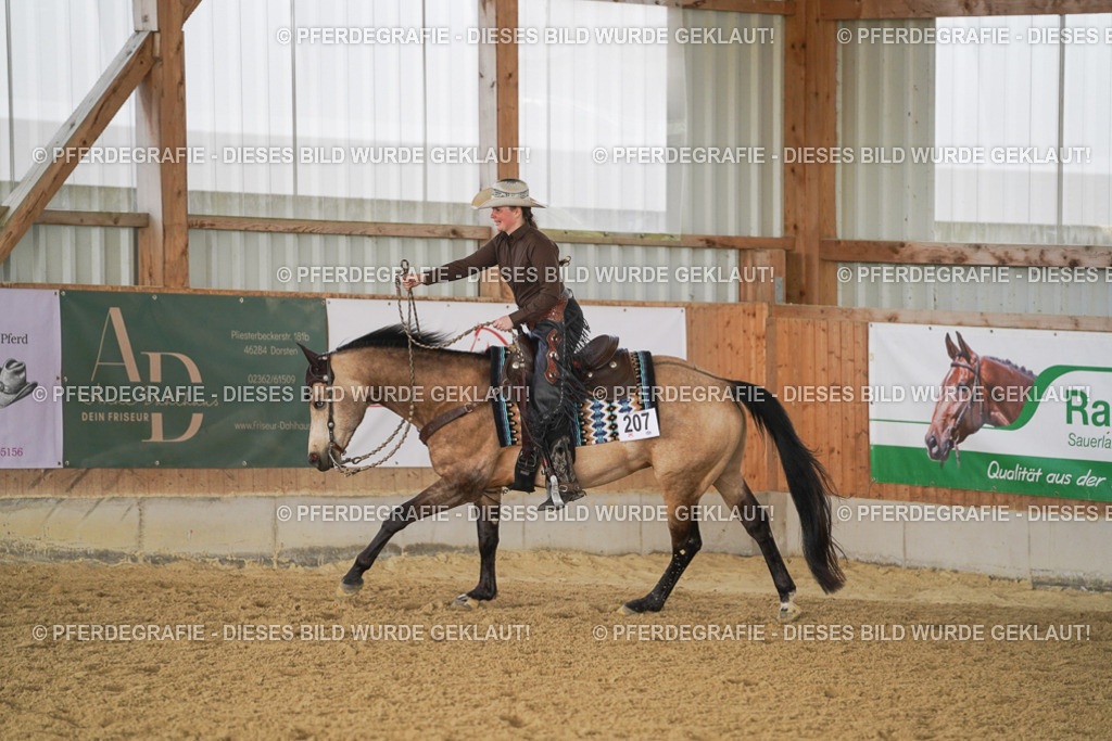 DSC00188 | Pferdegrafie