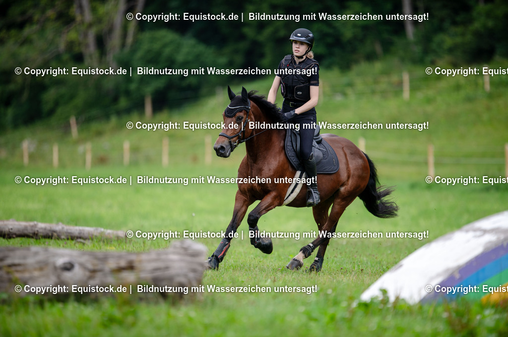 20250725_Vielseitigkeitslehrgang-Marbach_0757 | Foto: Thomas Hartig