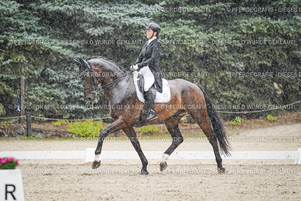 DSC08110 | Pferdegrafie