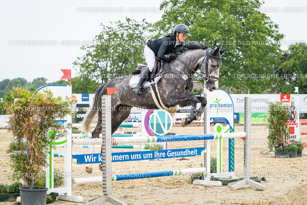 DSC00234 | Pferdegrafie