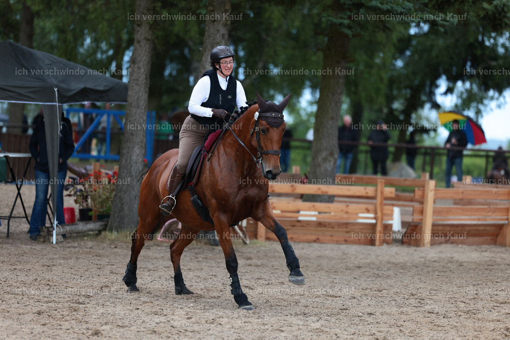 KlasseL_Stoibphotography_CAM23755.JPG | working equitationturnier fotograf videograf stoibphotography marixx film working equitation deutschland reitsport turnierfotografie eventfotografie equestrian events