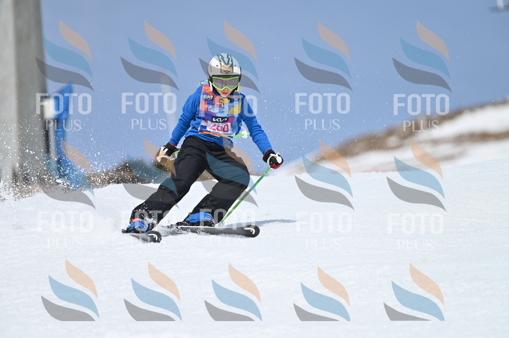 BGV_2068 | holidayphoto