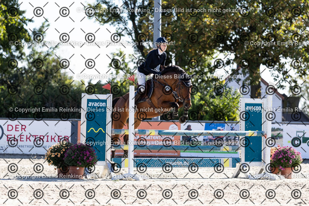 CL5A1355 | Emilia Reinking Fotografie - Realisiert mit Pictrs.com