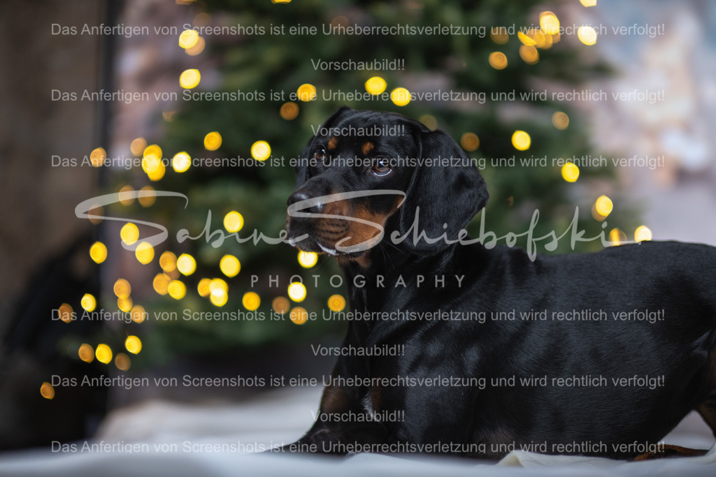 DSCF4389 | People- und Tierfotografie, Imageaufnahmen, Veranstaltungsfotografie und Wandbilder aus der Natur ★ Made in Germany ✔️ Druck + Downloads ✔️ Naturfotografie in Top Qualität ★ schneller Versand, weltweite Lieferung! - Realisiert mit Pictrs.com