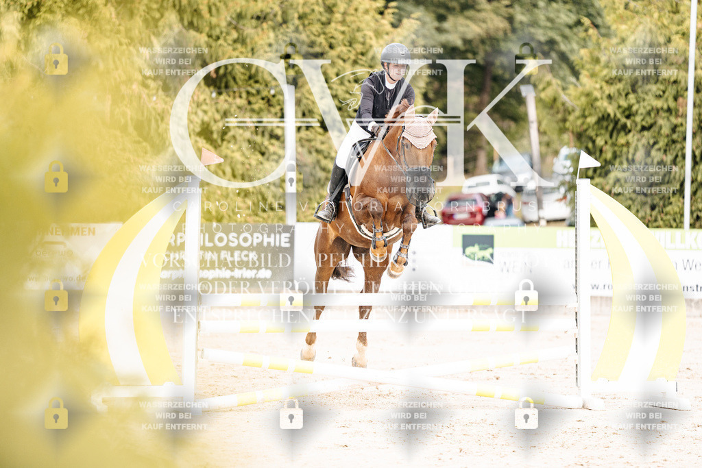 CK902357 | Turnierfotografie Pferdefotografie Trier Rheinland-Pfalz Pferdesport Reitsport Tierfotografie Sportfotografie Pferdevideo Pferdevideografie Equestrianvideography equestrianphotography  - Realisiert mit Pictrs.com