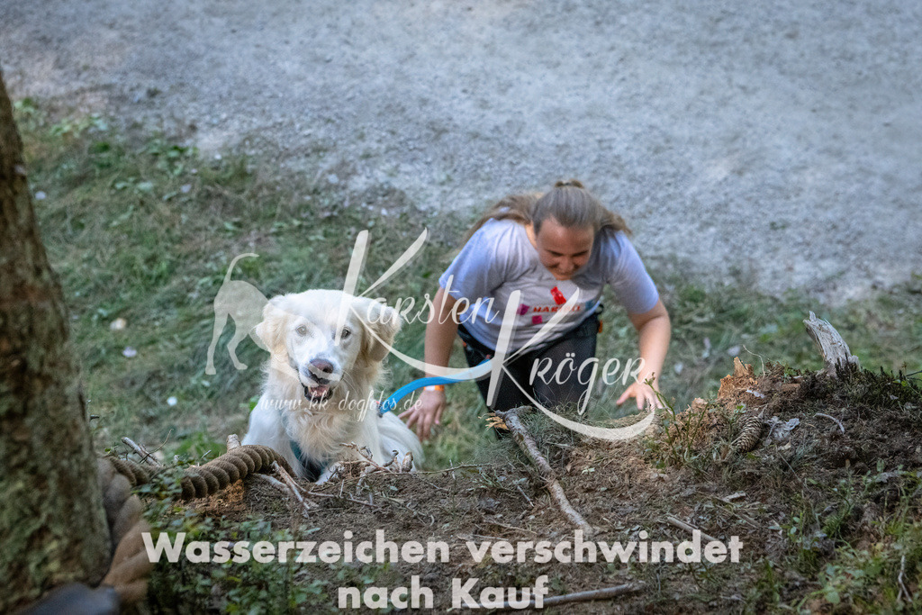 1131_ZZ90729 | kk-dogfotos