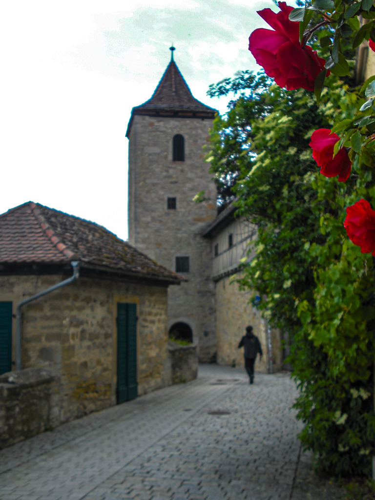 CIMG5450 | Rothenburg ob der Tauber. Nur hier gibt es Exklusive und passend zur Jahreszeit Ihr Wandbild, T-Shirt, Tasse und alles was das Rothenburg Herz begehrt. - Realisiert mit Pictrs.com