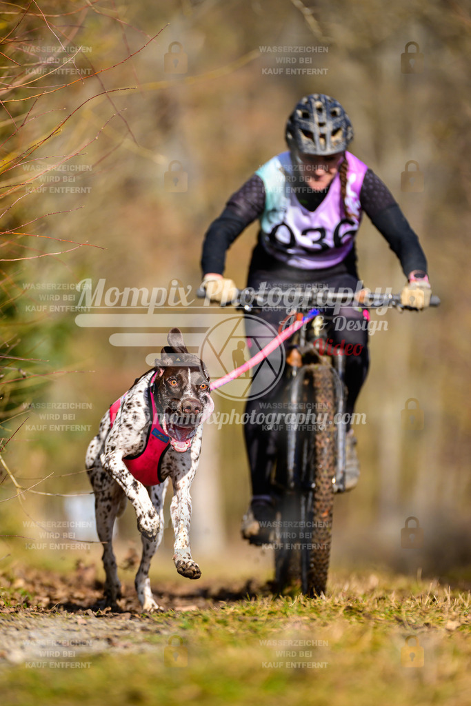 MompixPhotography_Schwabentrail2025_SO_Bike-7 | PayLife