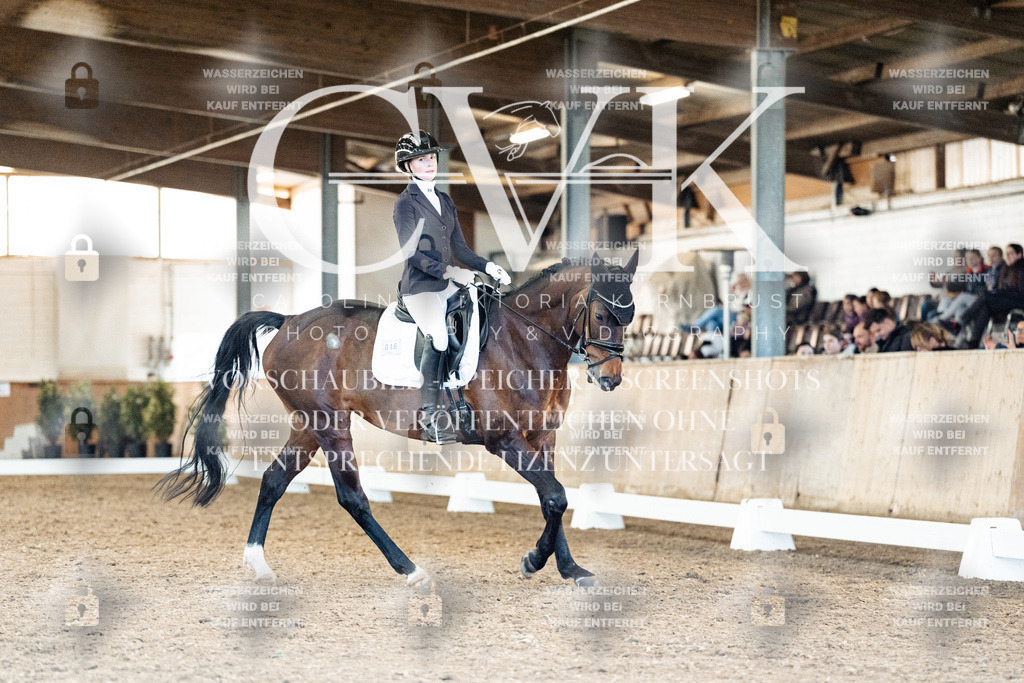 CK909286 | Turnierfotografie Pferdefotografie Trier Rheinland-Pfalz Pferdesport Reitsport Tierfotografie Sportfotografie Pferdevideo Pferdevideografie Equestrianvideography equestrianphotography  - Realisiert mit Pictrs.com