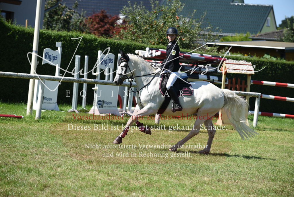 DSC_9476 | Pferde- und Turnierfotografie in Westsachsen. Pferdeportraits, Auftragszeichnungen und intuitive Kunst.