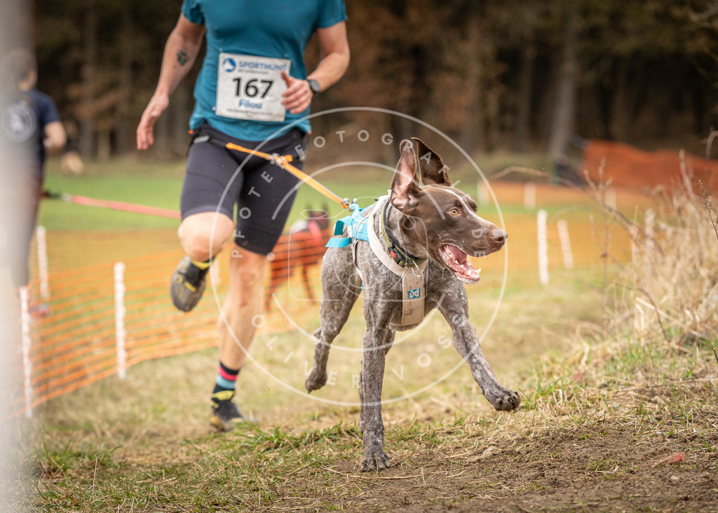 DV3A2087 | Hundefotografie, Tierfotograf, Pfotenfotografie, Fotoshooting Hund, Hunde Portrait, Hundesport, Hundeportraits, Heideshooting, Hunde, Sportfotograf, Hundefotograf, Turnierhundsport, THS,  - Realisiert mit Pictrs.com