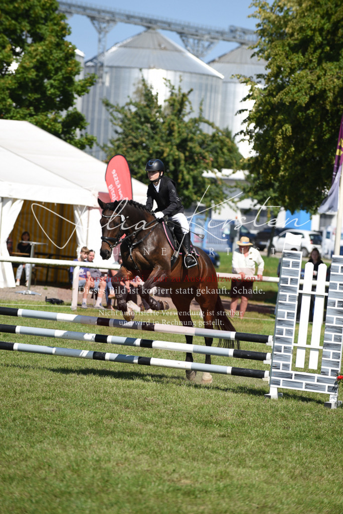 DSC_9366 | Pferde- und Turnierfotografie in Westsachsen. Pferdeportraits, Auftragszeichnungen und intuitive Kunst.