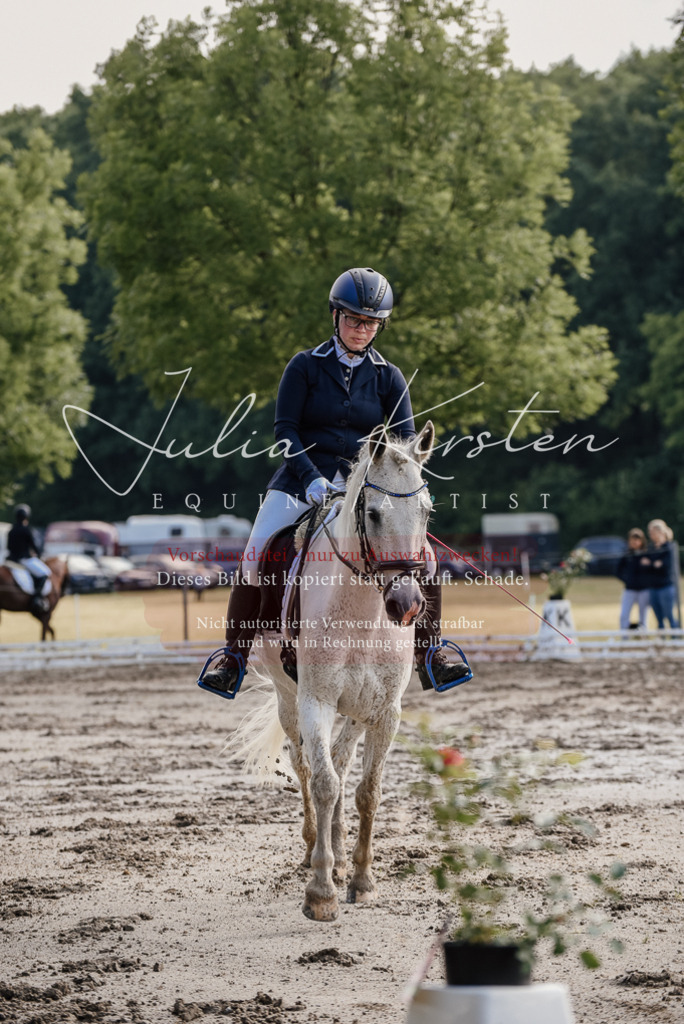 DSC_7921 | Pferde- und Turnierfotografie in Westsachsen. Pferdeportraits, Auftragszeichnungen und intuitive Kunst.
