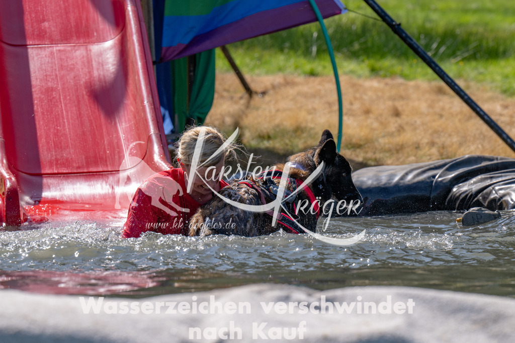 1236_ZZ92627 | kk-dogfotos