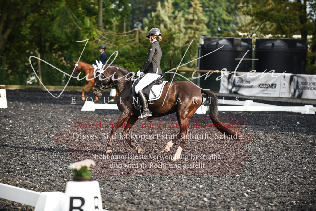DSC_3393 | Pferde- und Turnierfotografie in Westsachsen. Pferdeportraits, Auftragszeichnungen und intuitive Kunst.