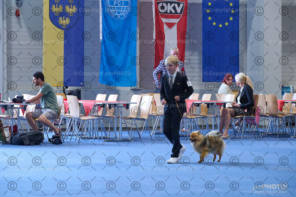 202406_ÖKV-IHA-Tulln24_DSC_4718 | proPHOTO - Realisiert mit Pictrs.com