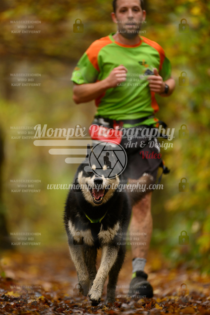 MompixPhotography_CD7S_DI_CCL-105 | mompixphotography